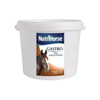Gastro Gastro