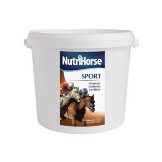 Sport Sport